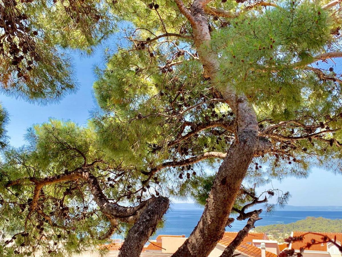 17 Pines Apartman Makarska Kültér fotó
